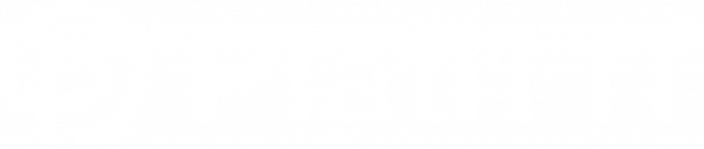 Platri IT logo